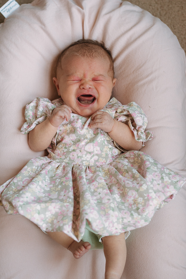 poppy-georgie-web-11