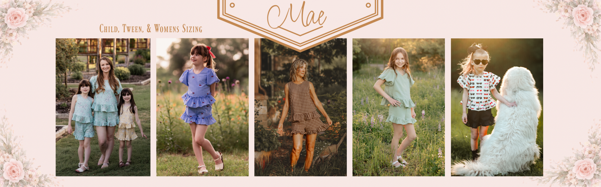 VLL Web Banner